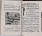 BEUDANT François-Sulpice "Cours élémentaire d'histoire naturelle à l'usage des lycées collèges, séminaires et maisons d'éducation : Minéralogie et Géologie"