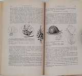 FISCHER P.-H. "VIE ET MOEURS DES MOLLUSQUES"