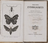 BOURASSÉ Jean-Jacques (Abbé) "Esquisses entomologiques ou Histoire naturelle des insectes les plus remarquables"