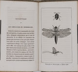 BOURASSÉ Jean-Jacques (Abbé) "Esquisses entomologiques ou Histoire naturelle des insectes les plus remarquables"