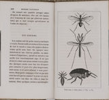 BOURASSÉ Jean-Jacques (Abbé) "Esquisses entomologiques ou Histoire naturelle des insectes les plus remarquables"