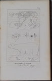 PICTET de la RIVE François-Jules "TRAITE ELEMENTAIRE DE PALEONTOLOGIE OU HISTOIRE NATURELLE DES ANIMAUX FOSSILES considérés dans leurs rapports zoologiques et géologiques"