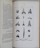 PICTET de la RIVE François-Jules "TRAITE ELEMENTAIRE DE PALEONTOLOGIE OU HISTOIRE NATURELLE DES ANIMAUX FOSSILES considérés dans leurs rapports zoologiques et géologiques"