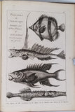 DEZALLIER d'ARGENVILLE Antoine-Joseph "L'HISTOIRE NATURELLE ÉCLAIRCIE DANS UNE DE SES PARTIES PRINCIPALES, L'ORYCTOLOGIE QUI TRAITE DES TERRES, DES PIERRES, DES METAUX, DES MINERAUX ET AUTRES FOSSILES..."