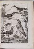 DEZALLIER d'ARGENVILLE Antoine-Joseph "L'HISTOIRE NATURELLE ÉCLAIRCIE DANS UNE DE SES PARTIES PRINCIPALES, L'ORYCTOLOGIE QUI TRAITE DES TERRES, DES PIERRES, DES METAUX, DES MINERAUX ET AUTRES FOSSILES..."