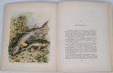 BOISSET Léonce de [Illustrations Fernand Angel] "POISSONS DES RIVIÈRES DE FRANCE - Histoire naturelle pour les pécheurs"