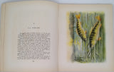 BOISSET Léonce de [Illustrations Fernand Angel] "POISSONS DES RIVIÈRES DE FRANCE - Histoire naturelle pour les pécheurs"