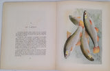 BOISSET Léonce de [Illustrations Fernand Angel] "POISSONS DES RIVIÈRES DE FRANCE - Histoire naturelle pour les pécheurs"