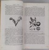 de SAINT PIERRE Germain "NOUVEAU DICTIONNAIRE DE BOTANIQUE..."