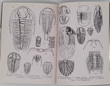 DENIZOT Georges "Petit atlas des fossiles 3 Fascicules : I-fossiles primaires et triasiques, II-fossiles jurassiques et crétaciques, III-fossiles tertiaires et quaternaires"