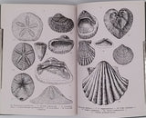 DENIZOT Georges "Petit atlas des fossiles 3 Fascicules : I-fossiles primaires et triasiques, II-fossiles jurassiques et crétaciques, III-fossiles tertiaires et quaternaires"