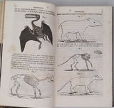 GUIBOURT Gaston "Histoire naturelle des drogues simples ou cours d'histoire naturelle professé à l'école de pharmacie de Paris"