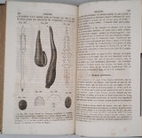 GUIBOURT Gaston "Histoire naturelle des drogues simples ou cours d'histoire naturelle professé à l'école de pharmacie de Paris"