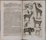 SALACROUX Antoine-Paulin-Germain "Nouveaux élémens d'Histoire Naturelle, contenant la Zoologie, la Botanique, la Minéralogie et la Géologie. Avec 44 planches gravées sur acier et représentant près de 400 sujets"