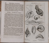 SALACROUX Antoine-Paulin-Germain "Nouveaux élémens d'Histoire Naturelle, contenant la Zoologie, la Botanique, la Minéralogie et la Géologie. Avec 44 planches gravées sur acier et représentant près de 400 sujets"