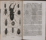 SALACROUX Antoine-Paulin-Germain "Nouveaux élémens d'Histoire Naturelle, contenant la Zoologie, la Botanique, la Minéralogie et la Géologie. Avec 44 planches gravées sur acier et représentant près de 400 sujets"