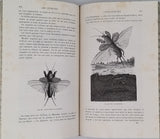 FIGUIER Louis, IMPORTANTE ET EXCEPTIONNELLE RÉUNION DE 12 VOLUMES in-8 DE CE GRAND VULGARISATEUR DU XIXe EN RELIURE UNIFORME