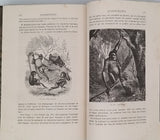 FIGUIER Louis, IMPORTANTE ET EXCEPTIONNELLE RÉUNION DE 12 VOLUMES in-8 DE CE GRAND VULGARISATEUR DU XIXe EN RELIURE UNIFORME