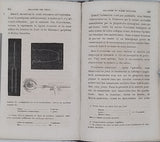 MARTIN Émile "Traité Médical pratique des Maladies des Yeux contenant l'Exposition des affections de la Vue et les formules médicinales applicables à leur traitement"