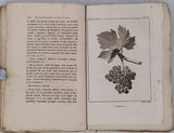 CHAPTAL, Abbé ROZIER, PARMENTIER, DUSSIEUX "TRAITÉ THÉORIQUE ET PRATIQUE SUR LA CULTURE DE LA VIGNE AVEC L'ART DE FAIRE LE VIN, LES EAUX DE VIE, ESPRIT DE VIN, VINAIGRES SIMPLES ET COMPOSÉS"