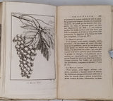 CHAPTAL, Abbé ROZIER, PARMENTIER, DUSSIEUX "TRAITÉ THÉORIQUE ET PRATIQUE SUR LA CULTURE DE LA VIGNE AVEC L'ART DE FAIRE LE VIN, LES EAUX DE VIE, ESPRIT DE VIN, VINAIGRES SIMPLES ET COMPOSÉS"