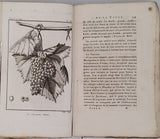 CHAPTAL, Abbé ROZIER, PARMENTIER, DUSSIEUX "TRAITÉ THÉORIQUE ET PRATIQUE SUR LA CULTURE DE LA VIGNE AVEC L'ART DE FAIRE LE VIN, LES EAUX DE VIE, ESPRIT DE VIN, VINAIGRES SIMPLES ET COMPOSÉS"