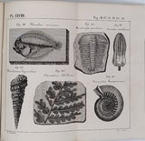 MICHAUD Louis "La Terre, l'Eau, l'Air et le Feu ou notions de physique, de mécanique, de chimie et de géologie en rapport avec les phénomènes naturels du globe et les usages ordinaires de la vie"