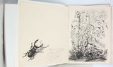 FABRE Jean-Henri [Illustrations NOTTON Tavy] "Vie et Moeurs des Insectes"