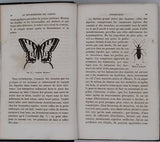 GIRARD Maurice "Les Métamorphoses des Insectes"