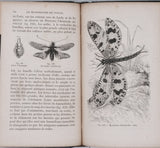 GIRARD Maurice "Les Métamorphoses des Insectes"