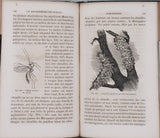 GIRARD Maurice "Les Métamorphoses des Insectes"