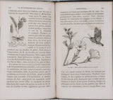 GIRARD Maurice "Les Métamorphoses des Insectes"