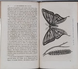 GIRARD Maurice "Les Métamorphoses des Insectes"