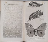 GIRARD Maurice "Les Métamorphoses des Insectes"