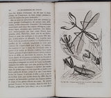 GIRARD Maurice "Les Métamorphoses des Insectes"