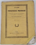 BROGNIART Adolphe [Fascicule 12] "Histoire des végétaux fossiles : Recherches botaniques et géologiques sur les végétaux renfermés dans les différentes couches du globe"