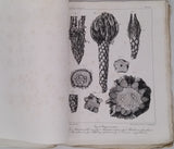 BROGNIART Adolphe [Fascicule 12] "Histoire des végétaux fossiles : Recherches botaniques et géologiques sur les végétaux renfermés dans les différentes couches du globe"