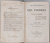 TISSANDIER Gaston "Les Fossiles"