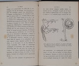 ROY Jules "L'An mille - Formation de la légende de l'an mille, état de la France de l'an 950 à l'an 1050"