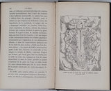 ROY Jules "L'An mille - Formation de la légende de l'an mille, état de la France de l'an 950 à l'an 1050"