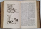 DUMONT D'URVILLE Jules "Voyage pittoresque autour du monde. Résumé général des voyages de découvertes de Magellan, Tasman, Dampier, Anson, Byron, Wallis, Carteret, Bougainville, Cook, Lapérouse, G. Bligh, Vancouver, d'Entrecasteaux, Wilson, etc."