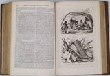 DUMONT D'URVILLE Jules "Voyage pittoresque autour du monde. Résumé général des voyages de découvertes de Magellan, Tasman, Dampier, Anson, Byron, Wallis, Carteret, Bougainville, Cook, Lapérouse, G. Bligh, Vancouver, d'Entrecasteaux, Wilson, etc."