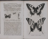 GIRARD Maurice "Les Métamorphoses des Insectes"