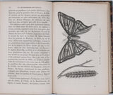 GIRARD Maurice "Les Métamorphoses des Insectes"