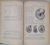 HAUG Émile "TRAITÉ DE GÉOLOGIE"