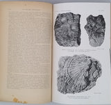 HAUG Émile "TRAITÉ DE GÉOLOGIE"