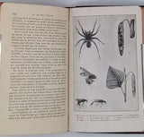 FABRE Jean-Henri "La Vie des Insectes - Morceaux choisis Extraits des Souvenirs Entomologiques"