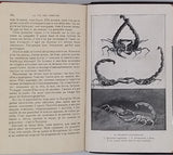 FABRE Jean-Henri "La Vie des Insectes - Morceaux choisis Extraits des Souvenirs Entomologiques"