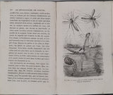 GIRARD Maurice "Les Métamorphoses des Insectes"