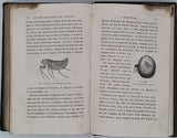 GIRARD Maurice "Les Métamorphoses des Insectes"